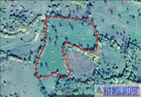 eren-extravilan-109-ha-faneata-de-vanzare-in-bughea-de-sus-arges-ideal-pentru-activitati-agricole-7