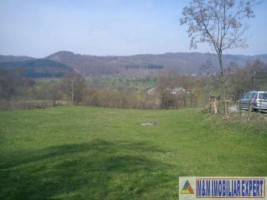 teren-extravilan-5665-mp-de-vanzare-in-albestii-de-muscel-candesti-ideal-pentru-investitii-agricole