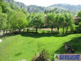 teren-3850-mp-intravilan-dragoslavele