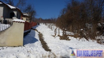 teren-21-ha-intraextravilan-de-vanzare-in-malu-cu-flori-dambovita-ideal-pentru-constructii-si-agricultura