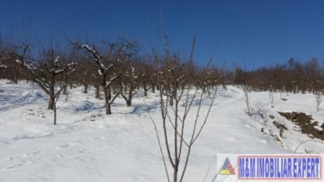 teren-21-ha-intraextravilan-de-vanzare-in-malu-cu-flori-dambovita-ideal-pentru-constructii-si-agricultura-5