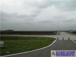 teren-intravilan-6-ha-de-vanzare-in-santandrei-timis-ideal-pentru-dezvoltari-rezidentiale-sau-comerciale-1