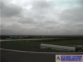 teren-intravilan-6-ha-de-vanzare-in-santandrei-timis-ideal-pentru-dezvoltari-rezidentiale-sau-comerciale-2