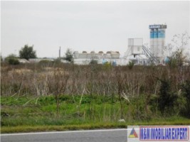 teren-intravilan-6-ha-de-vanzare-in-santandrei-timis-ideal-pentru-dezvoltari-rezidentiale-sau-comerciale-8