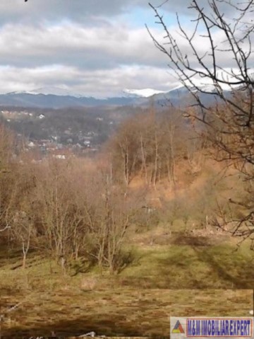 teren-106-ha-intravilan-bughea-de-jos-1