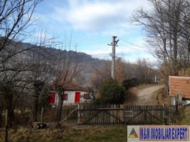 teren-106-ha-intravilan-bughea-de-jos-2