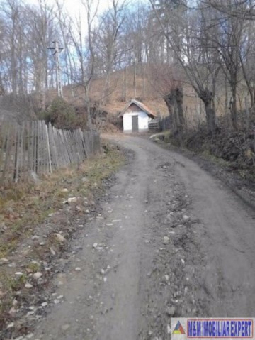 teren-106-ha-intravilan-bughea-de-jos-3