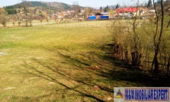 teren-extravilan-3569-mp-faneata-de-vanzare-in-bughea-de-sus-ideal-pentru-activitati-agricole-3