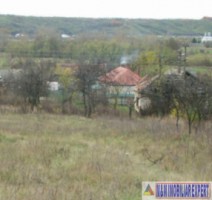 casa-6-camere-teren-11-ha-vedea-3