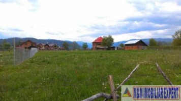 teren-de-vanzare-2500-mp-intravilan-in-calea-pietroasa-campulung-muscel-arges-ideal-pentru-constructii-rezidentiale-3