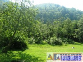 teren-500-mp-fond-forestier-leresti-baraj-rausor-1