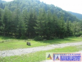 teren-500-mp-fond-forestier-leresti-baraj-rausor-2