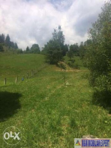 teren-3752-mp-intravilan-dambovicioara-podul-dambovitei-2
