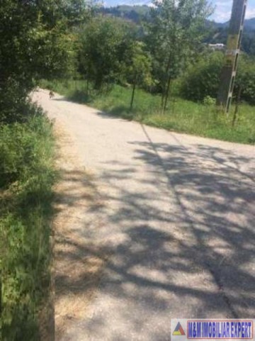 teren-3752-mp-intravilan-dambovicioara-podul-dambovitei-5