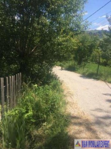 teren-3752-mp-intravilan-dambovicioara-podul-dambovitei-6