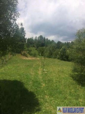 teren-3752-mp-intravilan-dambovicioara-podul-dambovitei-7