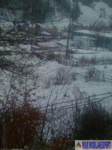 teren-la-munte-920-mp-intravilan-rucar-1