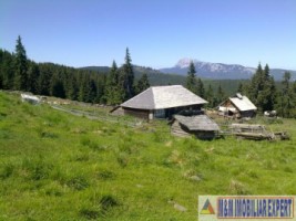 padure-172-ha-mixt-leresti-dobreasu-mare-2