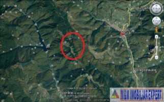 padure-172-ha-mixt-leresti-dobreasu-mare-3