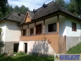 teren-5300-mp-intravilan-casa-nucsoara-2