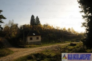 teren-5300-mp-intravilan-casa-nucsoara-4