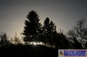 teren-5300-mp-intravilan-casa-nucsoara-5