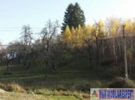 teren-5300-mp-intravilan-casa-nucsoara-7