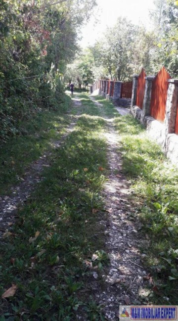 teren-intravilan-de-1-ha-cu-casa-la-rosu-utilitati-si-acoperis-nou-situat-in-bilcesti-valea-mare-pravat-arges-14