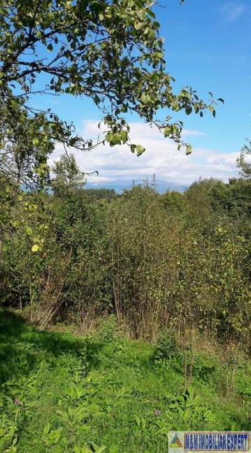 teren-intravilan-de-1-ha-cu-casa-la-rosu-utilitati-si-acoperis-nou-situat-in-bilcesti-valea-mare-pravat-arges-18