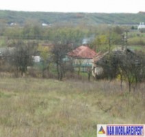casa-6-camere-teren-255-ha-vedea