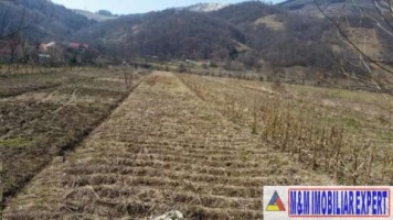 teren-intravilan-de-1800-mp-in-stoenesti-lunca-gartii-arges-ideal-pentru-constructie-rezidentiala