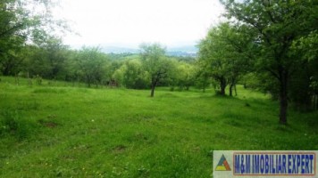 teren-intravilan-de-4800-mp-zona-linistita-cu-pomi-fructiferi-ideal-pentru-casa-sau-tabara-valea-mare-pravat-arges