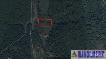 teren-extravilan-5000-mp-de-vanzare-in-albestii-de-muscel-oportunitate-pentru-investitii-agricole