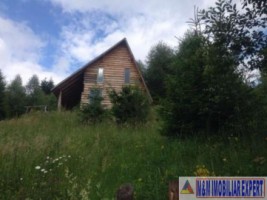 teren-intravilan-de-1-ha-de-vanzare-in-valea-cheii-dambovicioara-arges-32