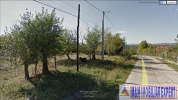 nu-vinde-deocamdata-teren-20-ha-intravilan-si-extravilan-de-vanzare-in-cretisoara-canpulung-muscel-arges-5
