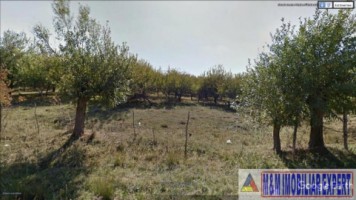 nu-vinde-deocamdata-teren-20-ha-intravilan-si-extravilan-de-vanzare-in-cretisoara-canpulung-muscel-arges-6