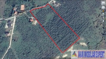 nu-vinde-deocamdata-teren-20-ha-intravilan-si-extravilan-de-vanzare-in-cretisoara-canpulung-muscel-arges-7