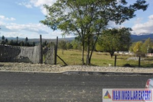 teren-1500-mp-intravilan-campulung-5