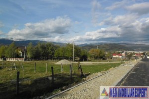 teren-1500-mp-intravilan-campulung-4