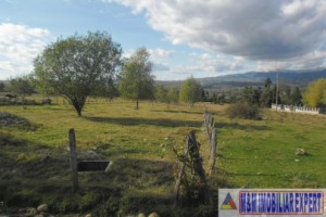 teren-1500-mp-intravilan-campulung-1