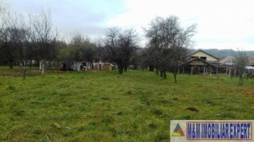 vand-teren-intravilan-2400-mp-schitu-golesti-arges-pentru-constructii-rezidentiale-sau-de-vacanta-3