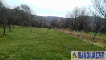 vand-teren-intravilan-2400-mp-schitu-golesti-arges-pentru-constructii-rezidentiale-sau-de-vacanta-4