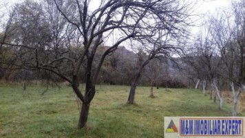 vand-teren-intravilan-2400-mp-schitu-golesti-arges-pentru-constructii-rezidentiale-sau-de-vacanta-5