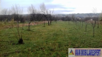 vand-teren-intravilan-2400-mp-schitu-golesti-arges-pentru-constructii-rezidentiale-sau-de-vacanta-6