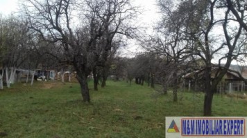 vand-teren-intravilan-2400-mp-schitu-golesti-arges-pentru-constructii-rezidentiale-sau-de-vacanta-8
