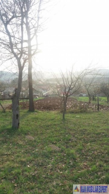 teren-2780-mp-intra-extravilan-aninoasa-arges-2