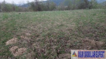 teren-extravilan-de-4200-mp-cu-fantana-proprie-situat-in-valea-mare-pravat-arges-0