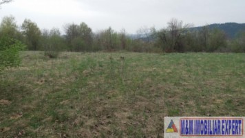 teren-extravilan-de-4200-mp-cu-fantana-proprie-situat-in-valea-mare-pravat-arges-1