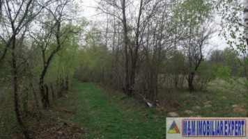 teren-extravilan-de-4200-mp-cu-fantana-proprie-situat-in-valea-mare-pravat-arges-2