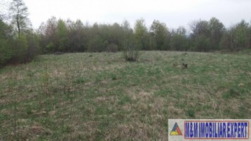 teren-extravilan-de-4200-mp-cu-fantana-proprie-situat-in-valea-mare-pravat-arges-4